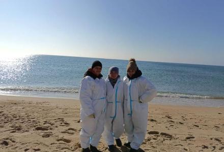 ������������ ������� �������� ������ ��������� ������� � ���������� ����������� ������������� ���������� 