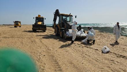 ����� ��������� ���������� ������������� �������� � 12-11 �������� ������ ��������� ������� � ���������� ����������� ������������� ����������