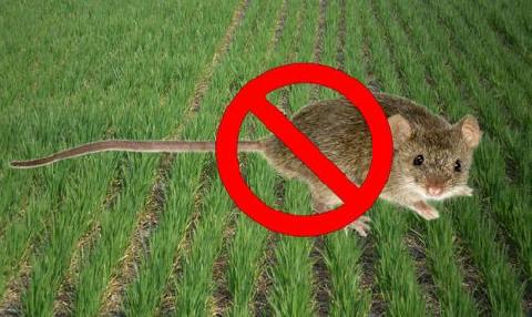 � ������� � ������� ������!