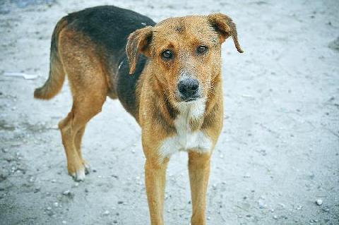 � ���� �������������� 14 ���� ����� ����������� ����� ��������� �����