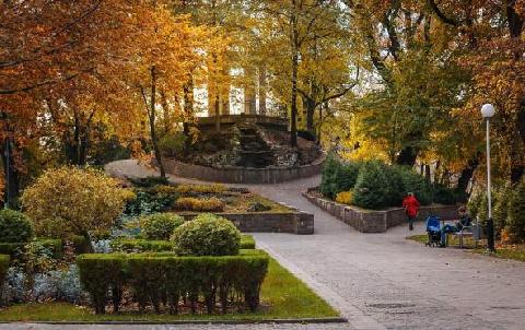 � 2019 ���� � ��������� ������������� ���������� ��������� ������ ����� ����������� 51 ���������� ����� ����