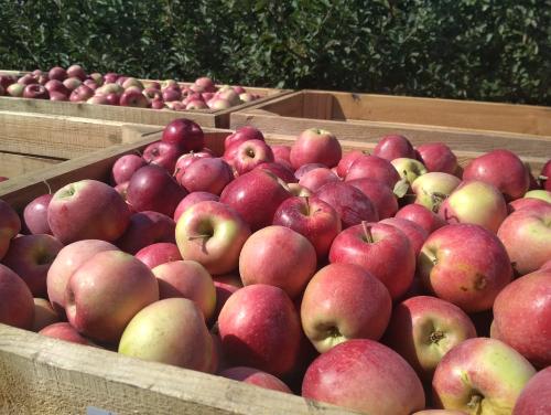 � ��� "�������" ��������� ������� ���� ������ �����