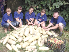 ������ ���������� ���� �� ������