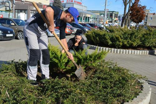 ﻿������� � ������� ������� ������ ���������