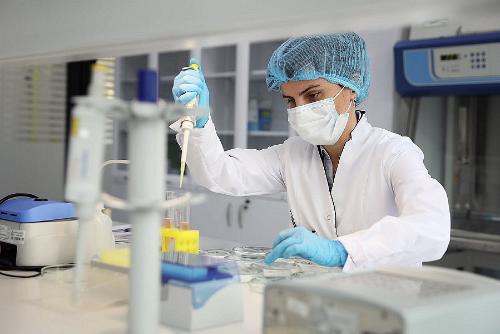 �� ������ �� ����� ����������� 233 ����� ������ ����������� �������������