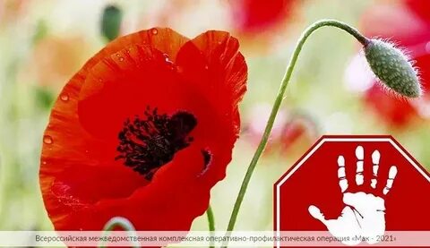 ����-2021�