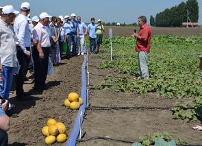 ������������� ������� ���� ���� ������� � �������� ������� ������ �� ������