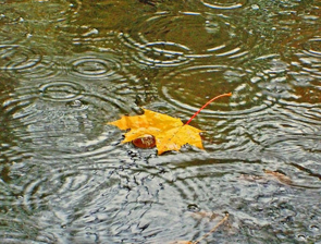 ��� �������� ���������� �������������� � ������� ������ 