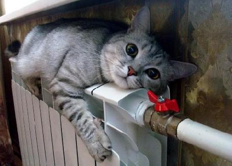 �� ��������: ���������� � ������������� ������