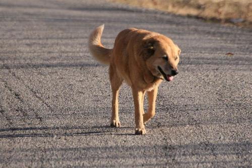 ���������� ��������� ��������� ������������� �������� ������ �����������!