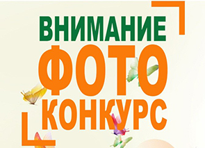 ����������� ������ �� ����������� ������ ����, ������ ���� 