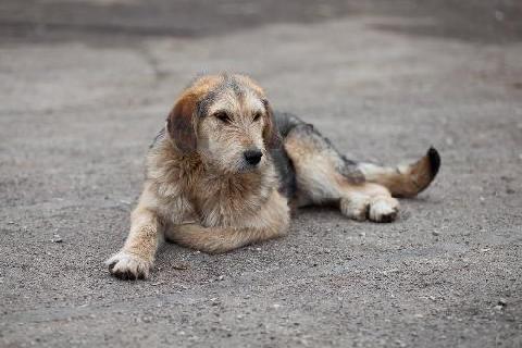 29 ������� � ���������������� �������� ��������� ����� ����������� ����� ��������� �����