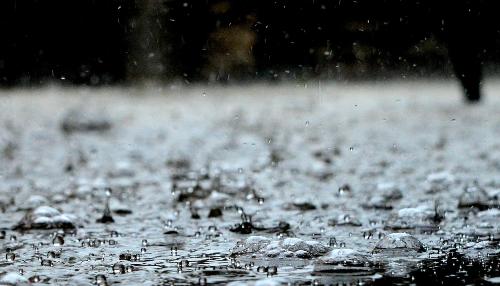 �� ������ ���������� ����������� ��������� ��������������