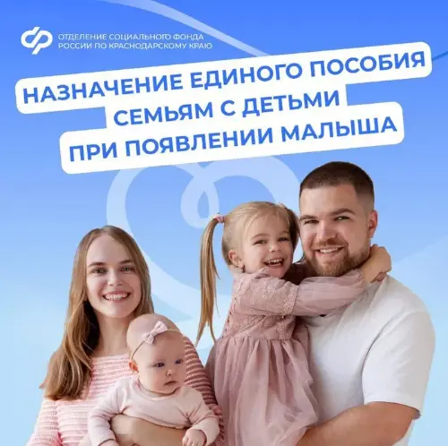 � ������������� ���� ������ ������� �������� �������� 445 ����� ����� � 6 ����� ���������� ������
