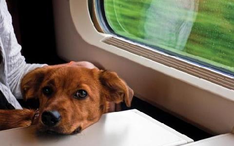 ������������� ������������ ����������� ���������� ������� ��������� ��������������� ����������� ����� ������� ����� � ��������� �����