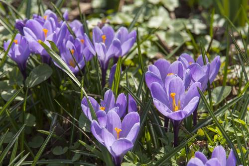 ��������������� �� ����������� ������ � ����������� ��� ������� ������������ ��������, ���������� � ������� �����