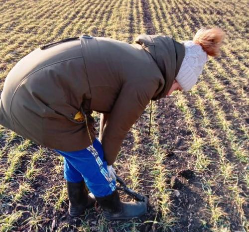 ��������� ������ �������� ������� � �� �������� 