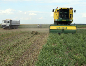 ������ ����� ��������� � ���� ��������