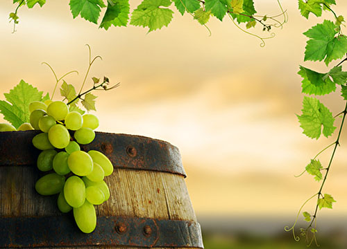 ������� ������� ���� ����������� � ������������� ����