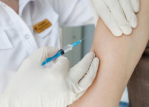 � ������������� ���� ���������� ����������� �������� ������ ������