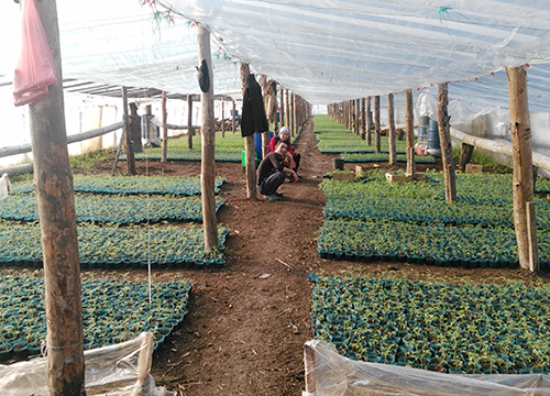 ����������� ������� � ������������ ����������� �� 32 ������ ������