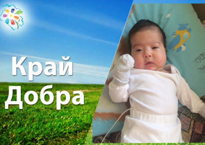 "���� �����" ���������� �������� ������� ������