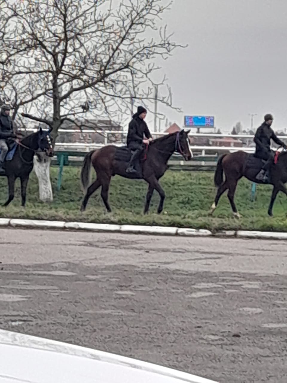 ����-������ �������� �� ��������� �� ������������� ���������