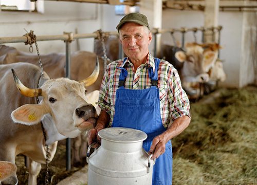 ���������  ������������ � ����� ��� ��������������� ���������