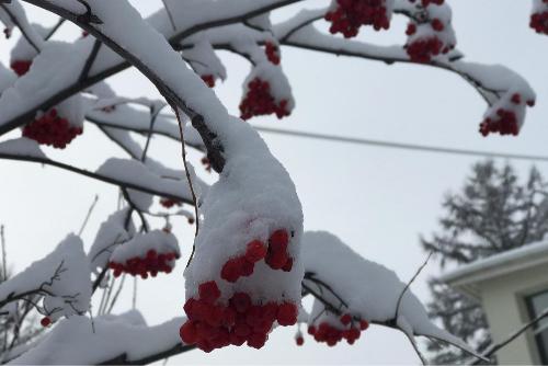 � ������������� ���� ��������� ��������� ��������������