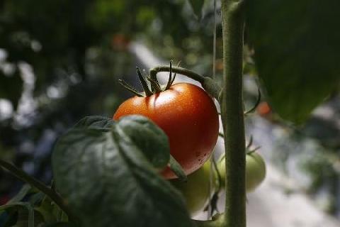 �� ������ � ������ 2021 ���� ����������� ������������ ��������� ������