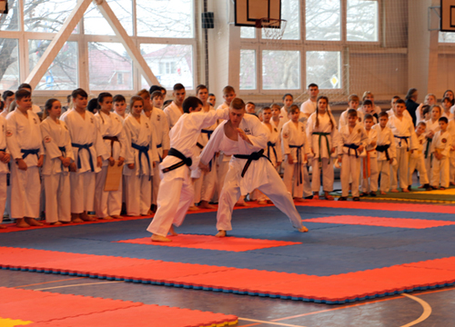 � ���������� ������������� � �������� ���