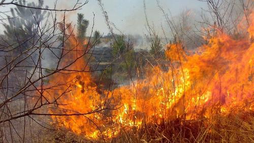 ��������� ������ �������� ������!