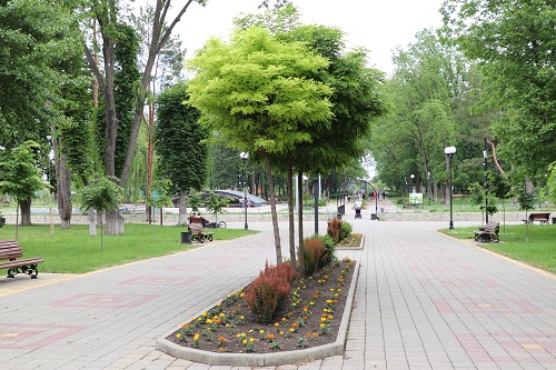 ��� �������������� ���������� ��������� ���� ������ � �����