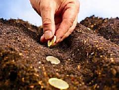 � 2017 ���� �������� ����� ��� �������� ��� �������������