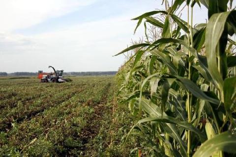 � ������� ������ ������������ ��������� ������