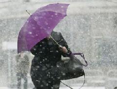 � �������� ����������