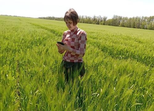 Что нужно знать дачникам о колодцах и скважинах разъяснения федеральной кадастровой палаты