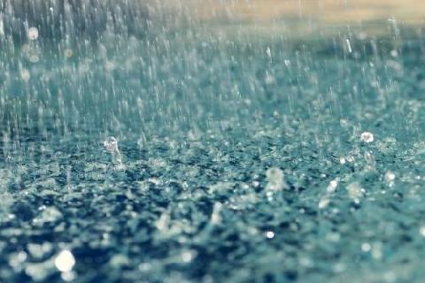 �� ������ ���������� ����������� ��������� ��������������