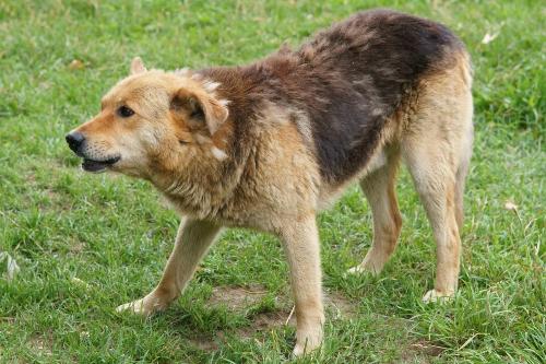 10 ������ � ���� �������������� ����� ����������� ����� ��������� �����