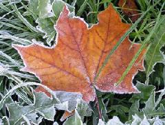 ��������� �� ���� ������ ������� ��������� ������