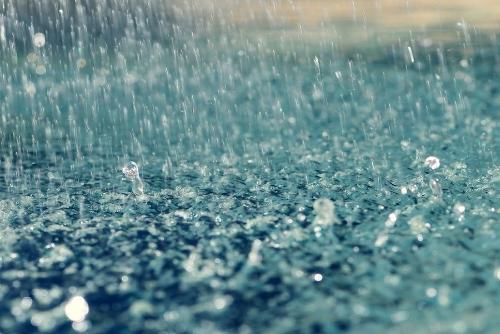 �� ������ ��������� ��������� ��������������