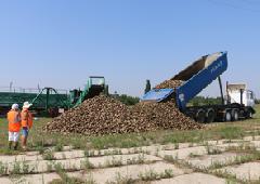 ������� ���������� ������� ����� �����������