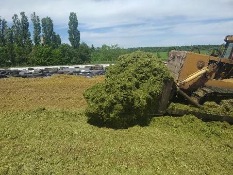 ��� ��������� �������� ������, ������� ���������� ���������������, ���������� � ������ �� ��������� ������ ������