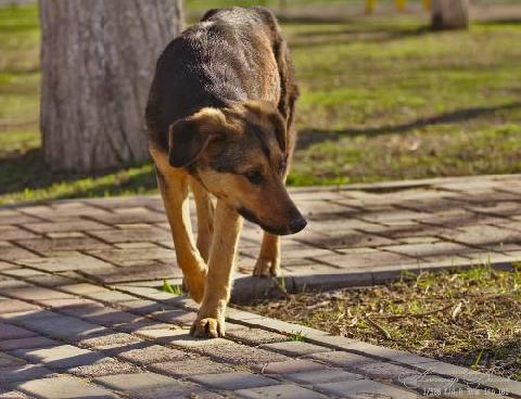 ���������� ��������� ��������� ������������� �������� ������ �����������!