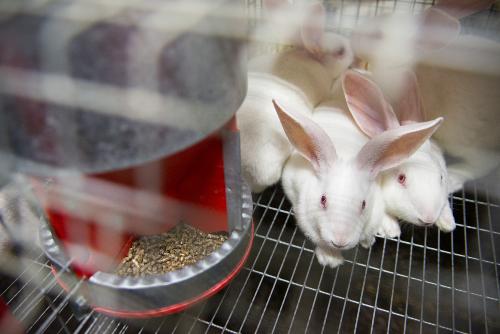 ������� ����� ���������� ��� ����� ��������������� ��� ����������