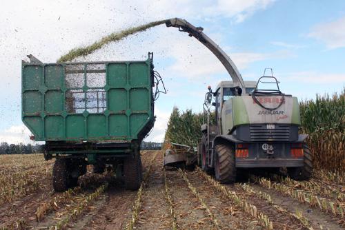 ��� �������� �������� ������ ��������� ���� ��������� ����������� ������