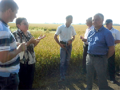 ������� ������� ����� ������ �������� ����������