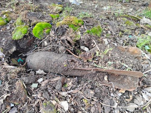 ����� �� � ������� ������ ����