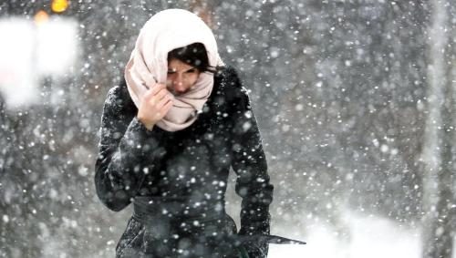 � ������������� ���� ���������� ����������� ��������� ��������������