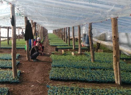 9 ������� ����������� ��������� �������� � ��������������� �������� ���������